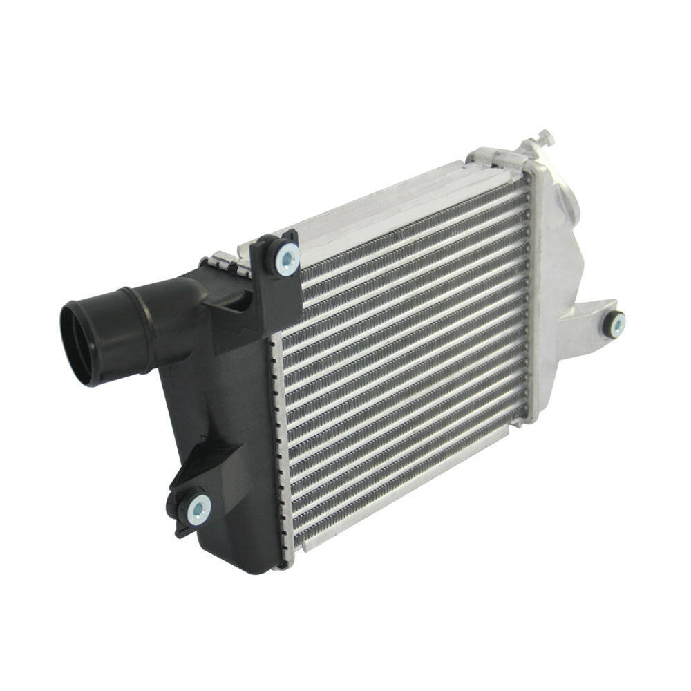 Intercooler Suitable for Mitsubishi Triton ML MN 06-15 Challenger 4D56 09-13 Turbo Diesel.