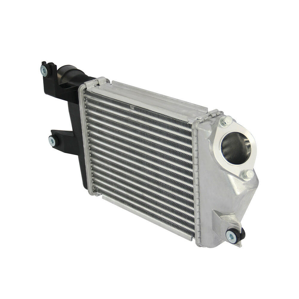 Intercooler Suitable for Mitsubishi Triton ML MN 06-15 Challenger 4D56 09-13 Turbo Diesel.