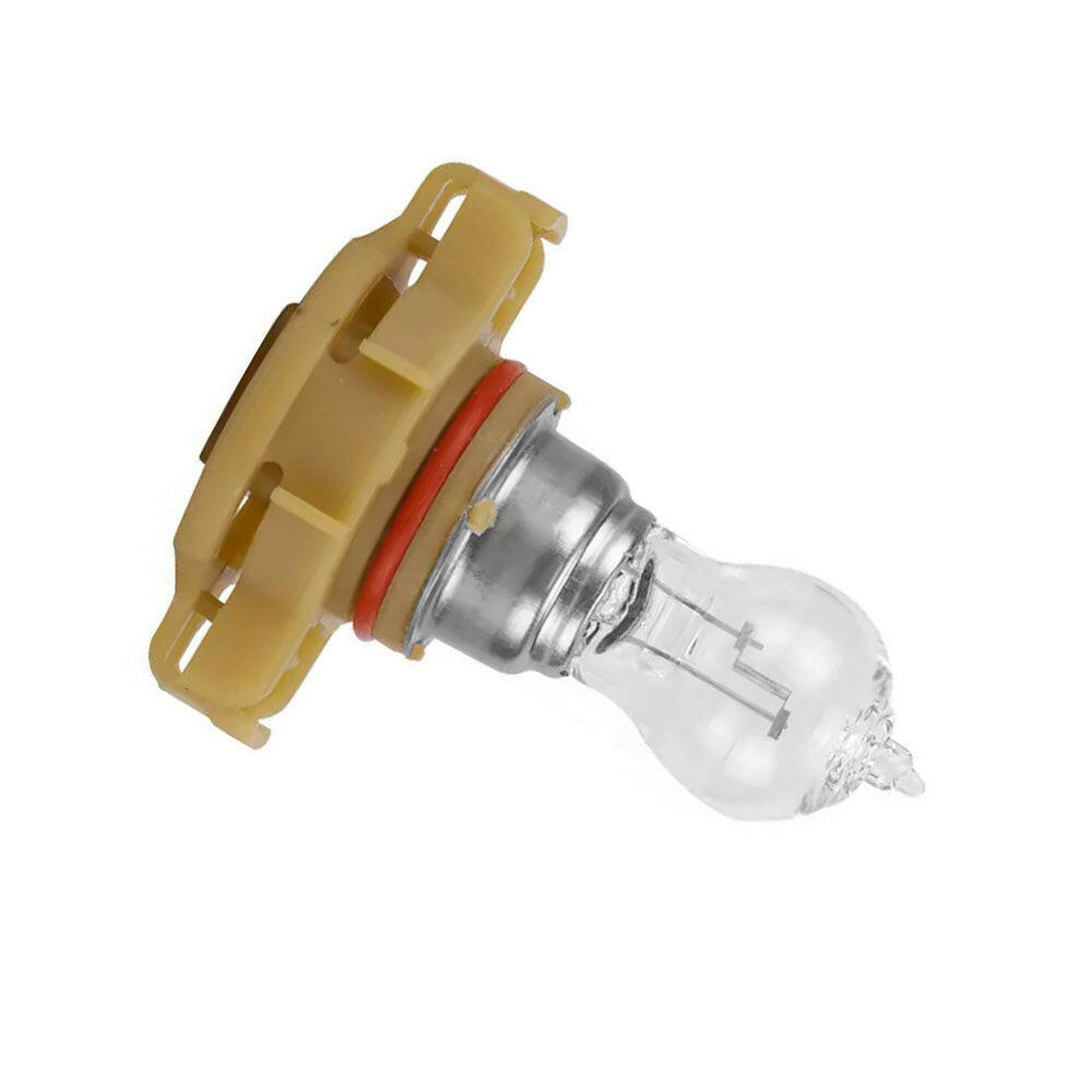 2x PSX24W 12V 24W PG20/7 Fog Light Clear Globe Bulbs.