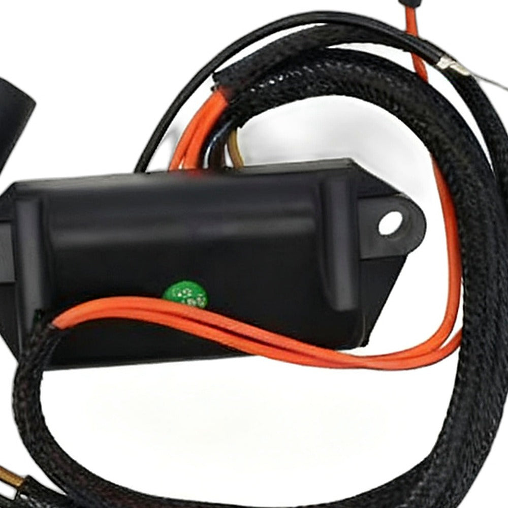 Outboard CDI Unit Suitable for Johnson Evinrude 40HP 45HP 50HP