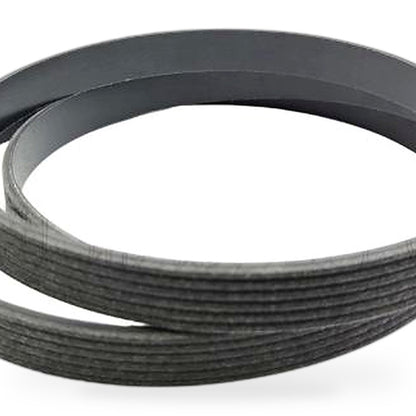 Ribbed Serpentine Fan Belt Suitable for Ford Falcon BA-BF 5.4L V8