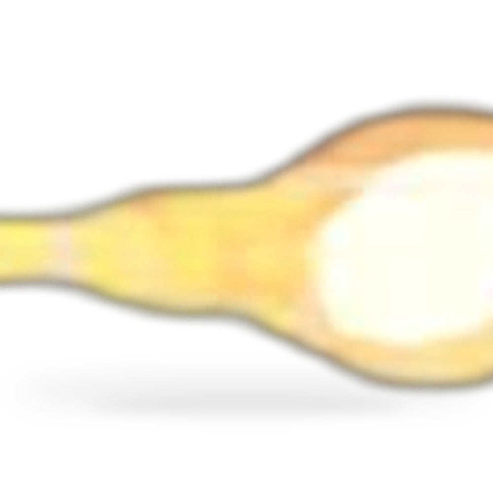Engine Oil Dipstick Suitable for Ford Edge Escape Mondeo Focus 2.0L EcoBoost - XQ1
