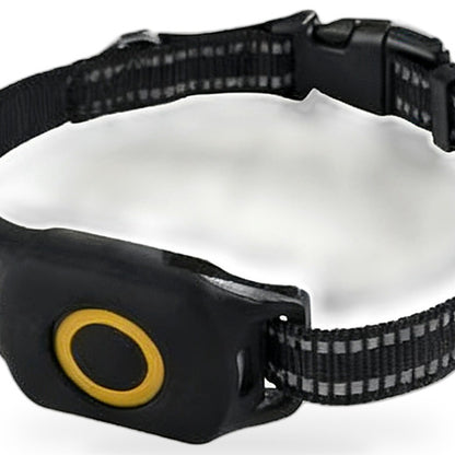 4G Wireless GPS Dog Tracker Suitable for Outdoor Use