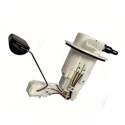 Fuel Pump Assembly Suitable for Honda Rebel 300