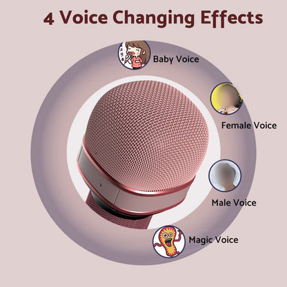 Wireless Bluetooth Portable Karaoke Microphone Speaker Suitable for Home Party S