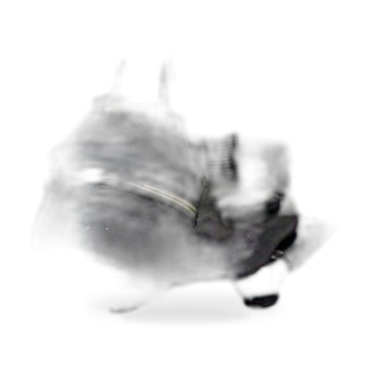 Front Lower Left Right Control Arms with Ball Joints Suitable for Toyota Tarago - ZT3