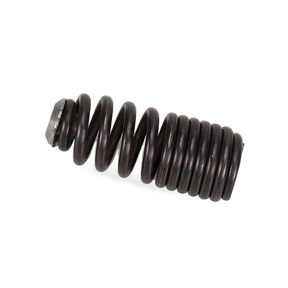 Engine Valve Spring Suitable for Honda Civic CRX Del Sol Acura Integra B16A B18C - BD3