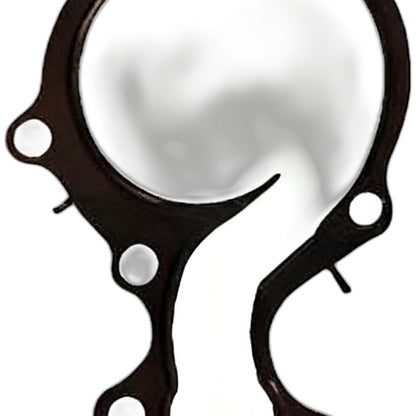 Water Pump Gasket Suitable for Ford Focus EcoSport Fiesta 1.0 EcoBoost - XQ1