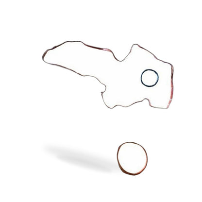 Intake Manifold Gasket Suitable for Ford Mondeo 2013-2022 Fusion Kuga Escape - BD1