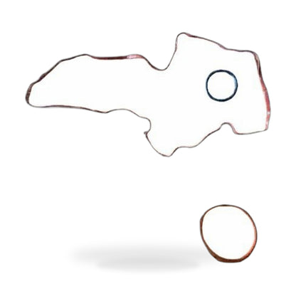 Intake Manifold Gasket Suitable for Ford Mondeo 2013-2022 Fusion Kuga Escape - ZT2