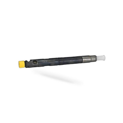 Delphi Fuel Injector R04901D 28280600 For TATA Safari 2.2L EURO 4 278901160101 - BD1