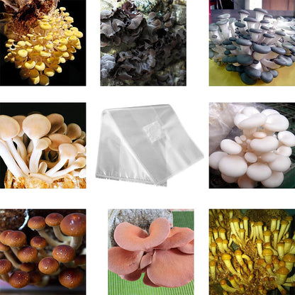 Mushroom Growing Bags 50x Breathable Autoclavable Stand-Up Tear-Resistant