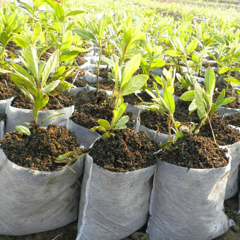 200x Non-Woven Biodegradable Grow Bags Suitable for Plant Nursery Seedling