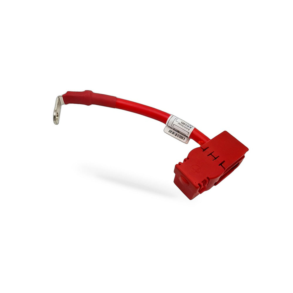Battery Protection Cable Suitable for BMW 1 2 3 4 Series X3 X4 61129391187 - BD3