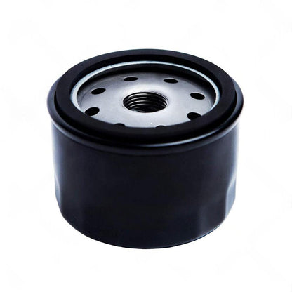 Service Kit Suitable For Briggs  and  Stratton Two Cylinder Motors Husqvarna Mowers.