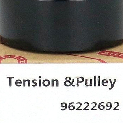 Belt Tensioner Pulley 96222692 Suitable for Citroen Elysee Fukang Peugeot 206 - XQ1