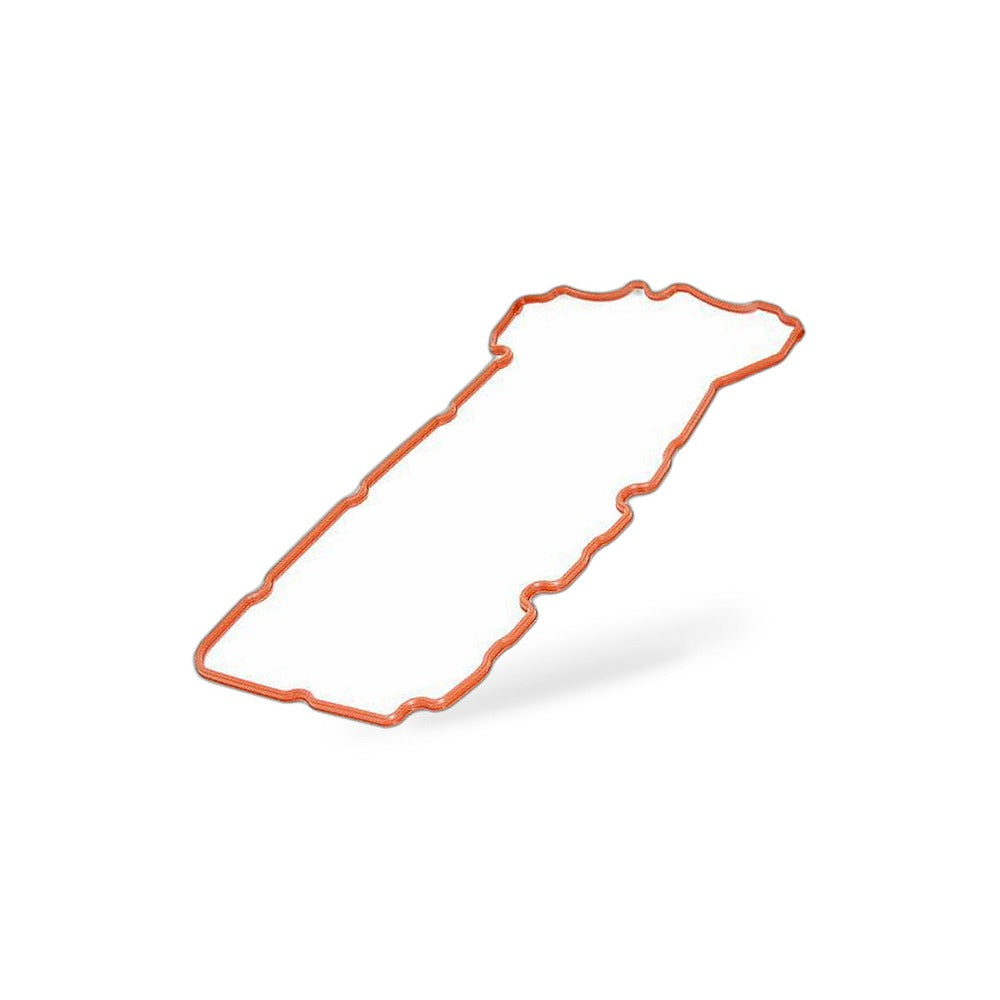 Valve Cover Gasket Suitable for BMW 1 3 5 Series X1 X3 Z4 12591200 - BD4