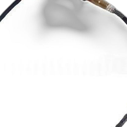 Front Sensor Suitable for Ford Focus 2011-2018 1.6L JX61-9Y460JA - XQ1