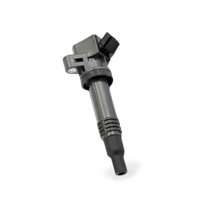 Ignition Coil Suitable for Great Wall C30 Haval H6 BYD F6 Landwind X5 X8 - BD4