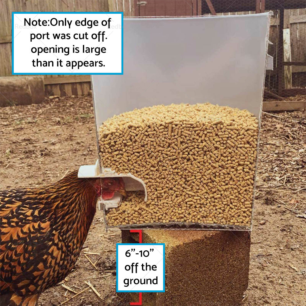 Chicken Feeder DIY Port PVC Gravity Fed Chicke Feeder.