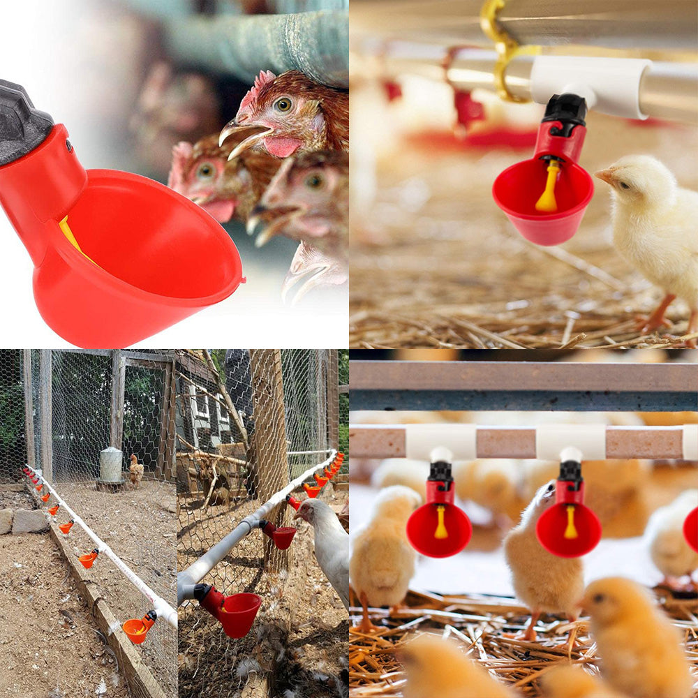 20x Poultry Chicken Automatic Drinker Cup Waterer Chook Bird Water Feeder Set.