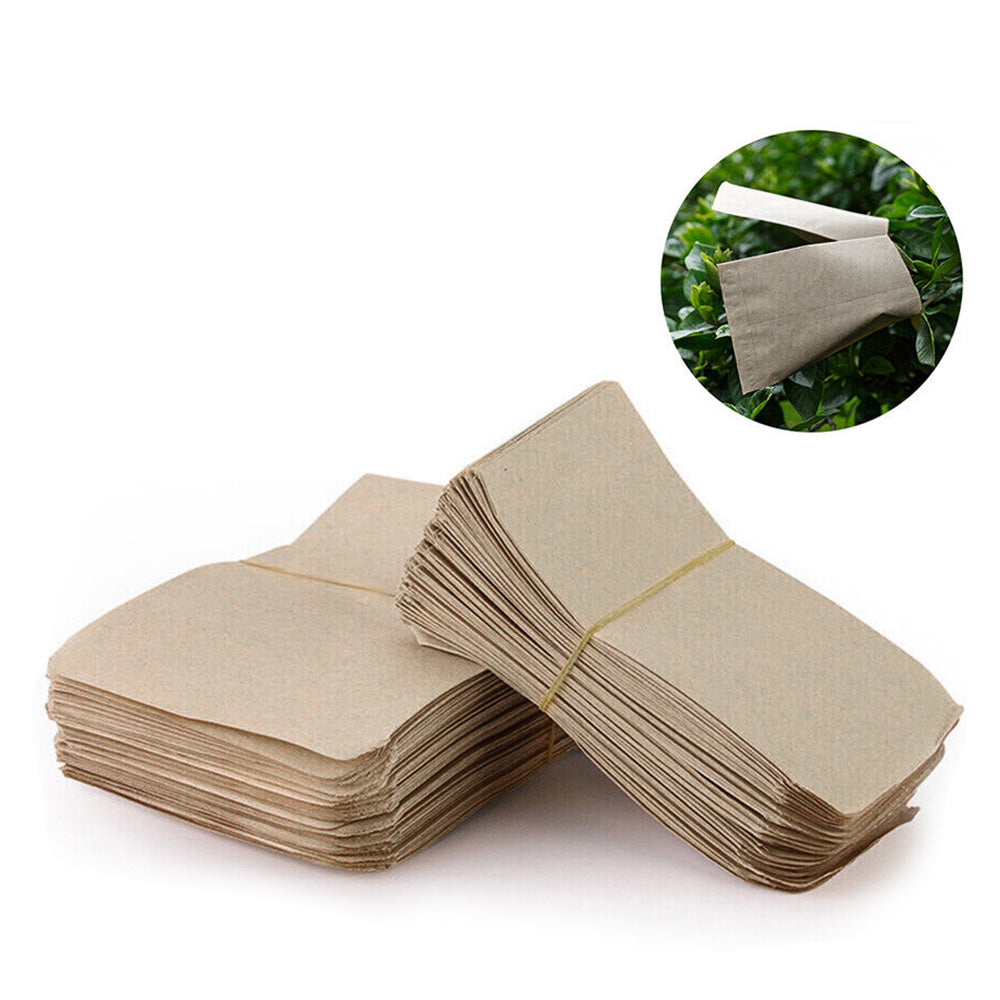 Kraft Paper Coin Envelopes 100/200PCS Suitable for Seed Bag