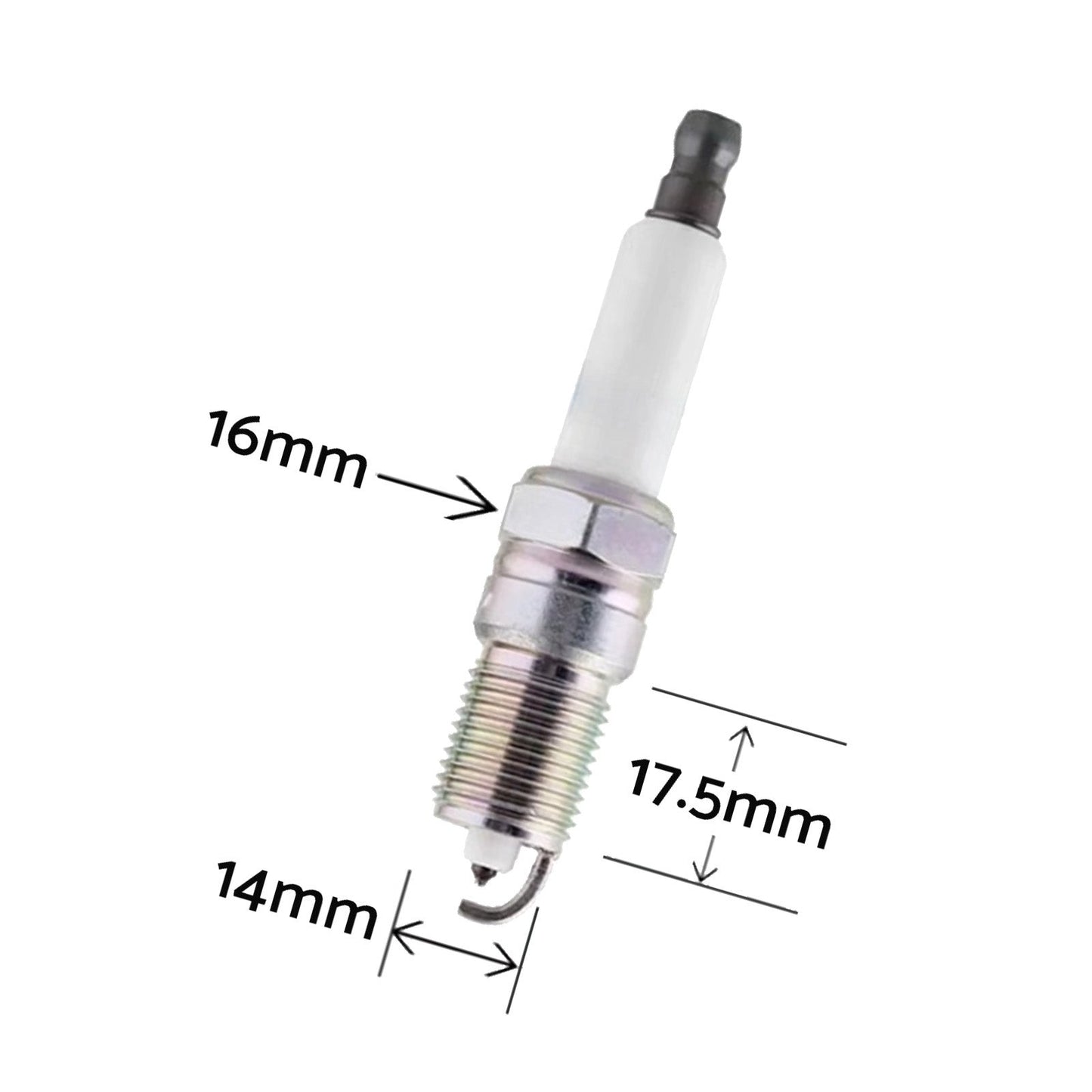 Coil & Spark Plug Lead Kit Suitable for Holden Calais 6.2L