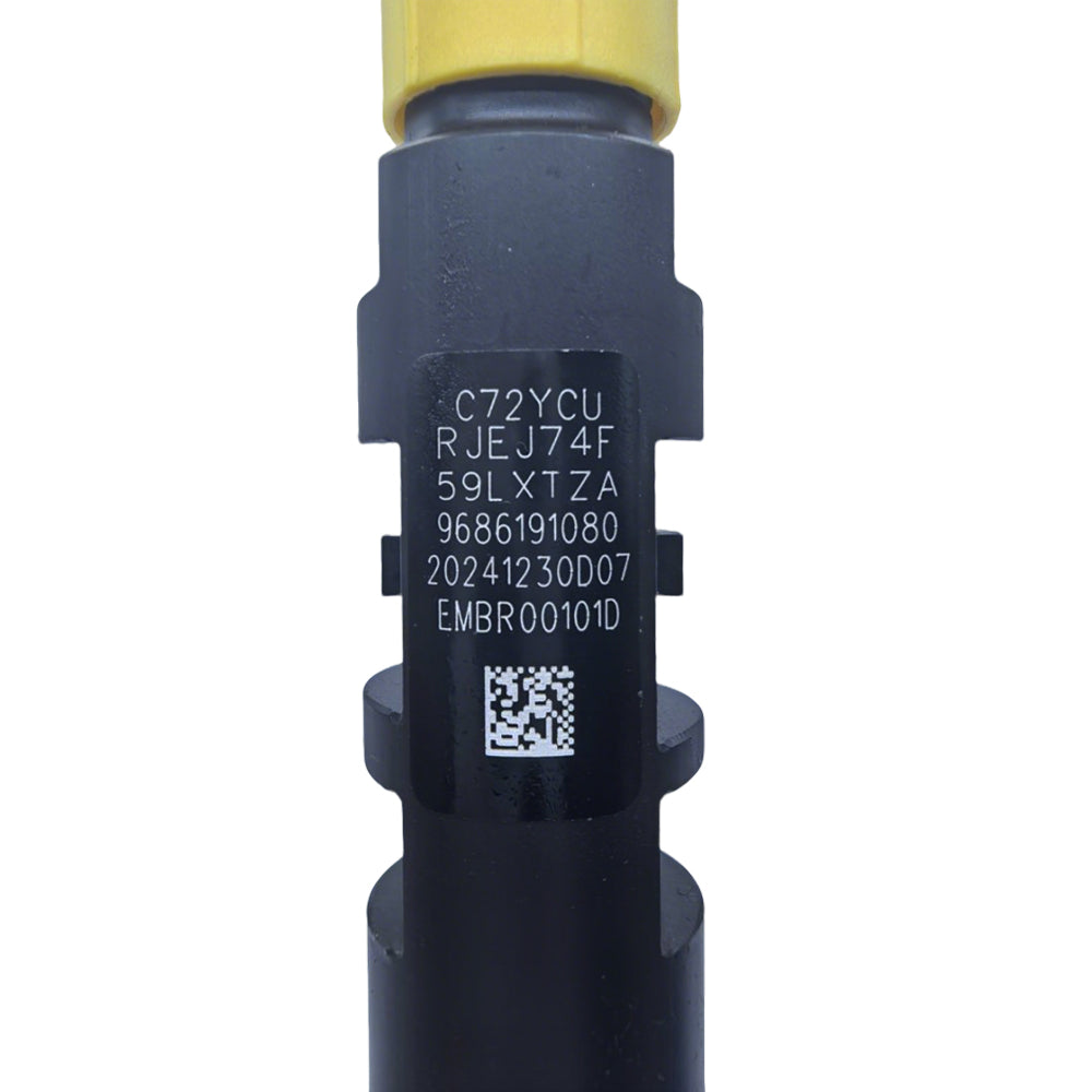 Fuel Injector Suitable for Citroen C4 Grand Picasso 2.0L HDi