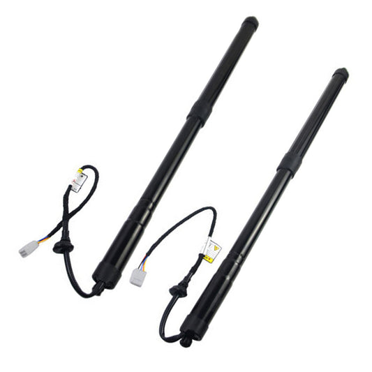 2x Rear Tailgate Support Struts Suitable for Lexus RX350 RX450h 6892048031 16-19.