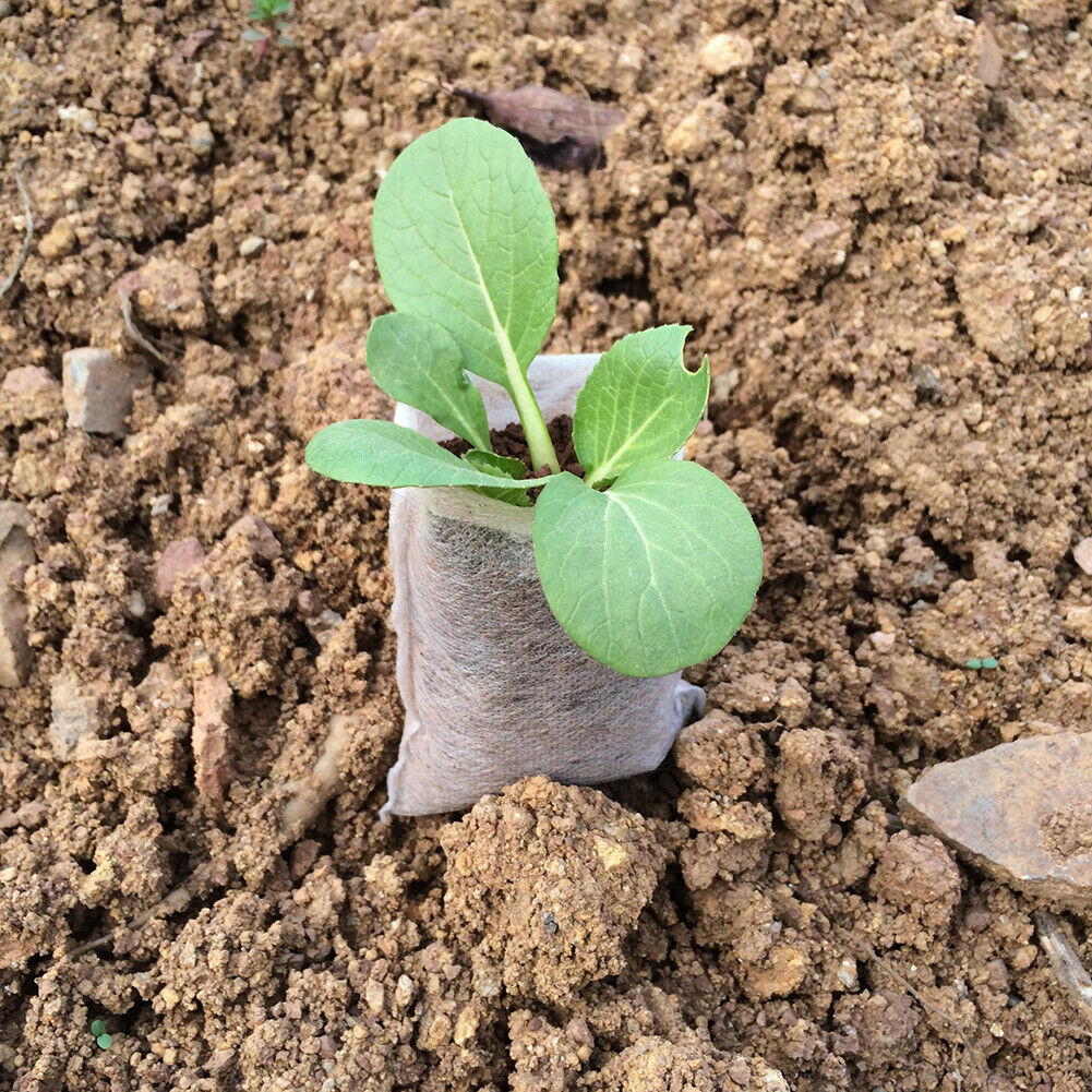 200x Non-Woven Biodegradable Grow Bags Suitable for Plant Nursery Seedling