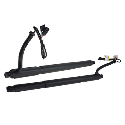 LR Spindle Drive Gas Struts With Automatic Opener Tailgate Suitable For BMW X6