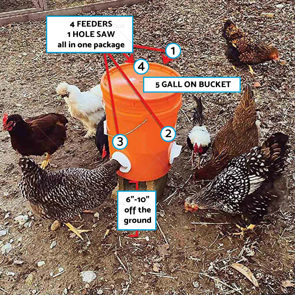 Chicken Feeder DIY Port PVC Gravity Fed Chicke Feeder.