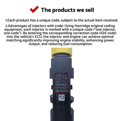 Fuel Injector Suitable for Citroen C4 Grand Picasso 2.0L HDi